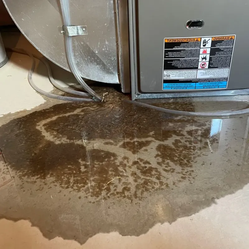 Pipe Burst and Leak Restoration in Mono Vista, CA